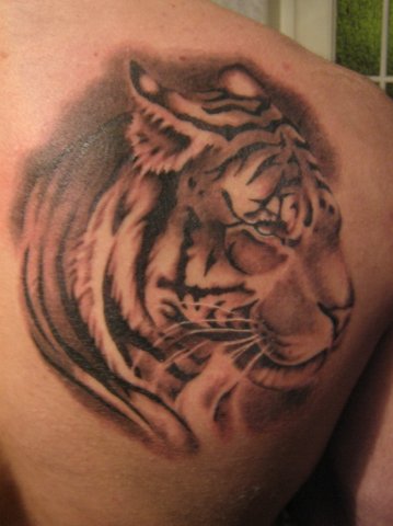 Фото и  значения татуировки Тигр. X_383ff966