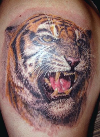 Фото и  значения татуировки Тигр. X_a4f13f63